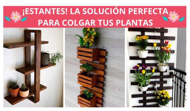 Estantes La Soluci N Perfecta Para Colgar Tus Plantas Si Tienes Poco