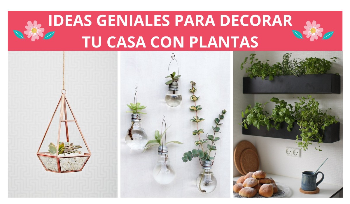 Generacion aleación Patentar 14 Ideas Súper Geniales Para Decorar Tu Casa Con Plantas | Manualidades eli