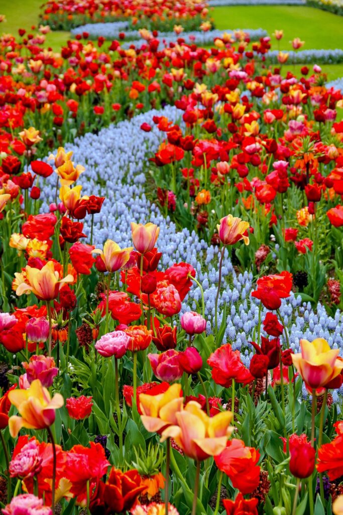 13 Ideas Creativas De Jardines Con Senderos De Flores Coloridas |  Manualidades eli