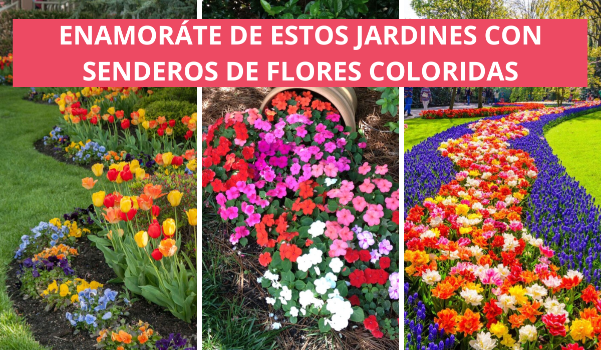 13 Ideas Creativas De Jardines Con Senderos De Flores Coloridas |  Manualidades eli