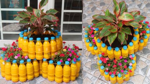 ¡Aquí Grandes Ideas Para Decorar Tu Jardín Con Botellas Plásticas