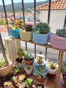 Mira Éstos Diseños Únicos De Macetas Con Reciclaje Que Amarás