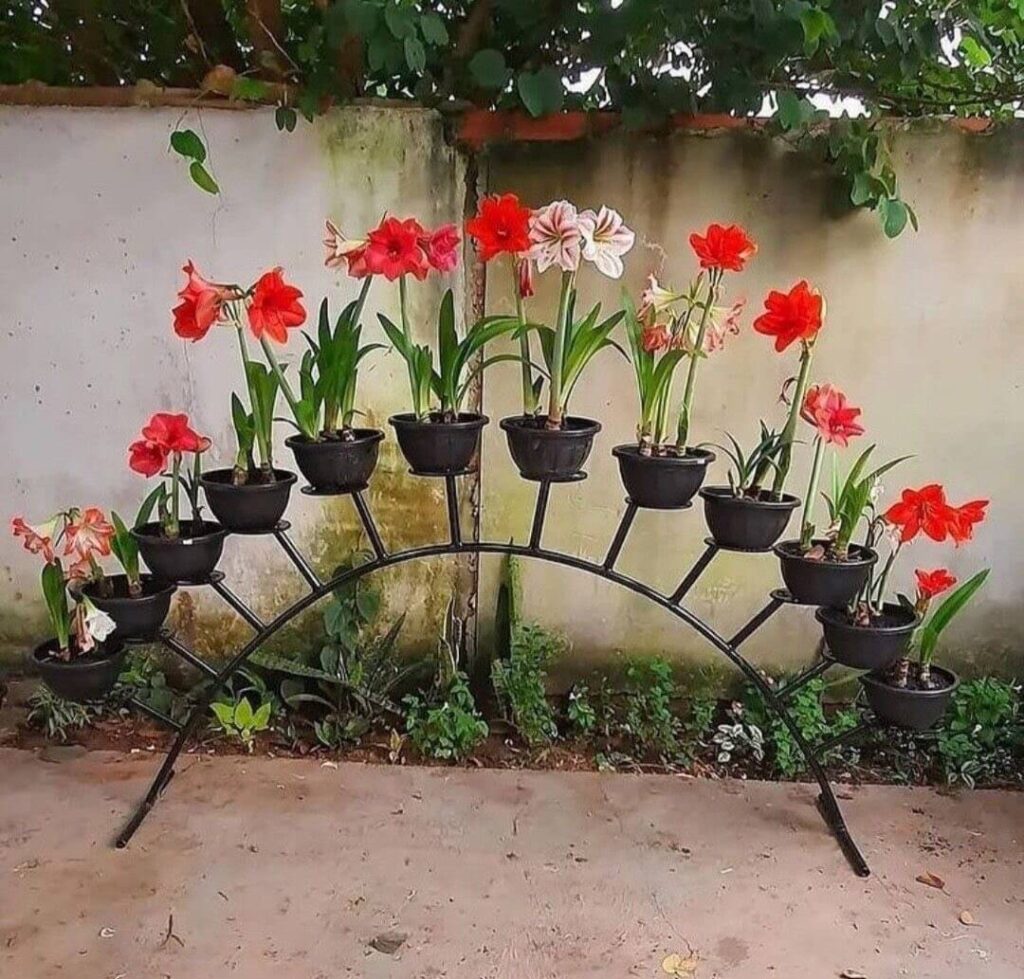 Ideas Creativas Para Decorar Con Soporte De Hierro Para Plantas
