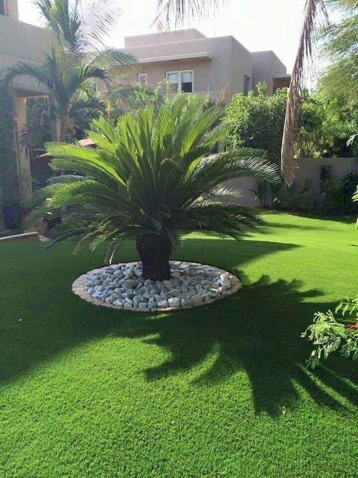 Ideas Creativas Para Incorporar Palmeras En La Decoración De Tu Jardín